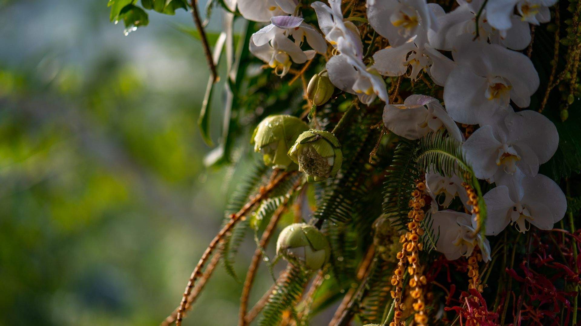 Tropical flowers hanging amidst greenery at Banyan Tree Escape - Buahan, capturing lush serenity for your wedding.