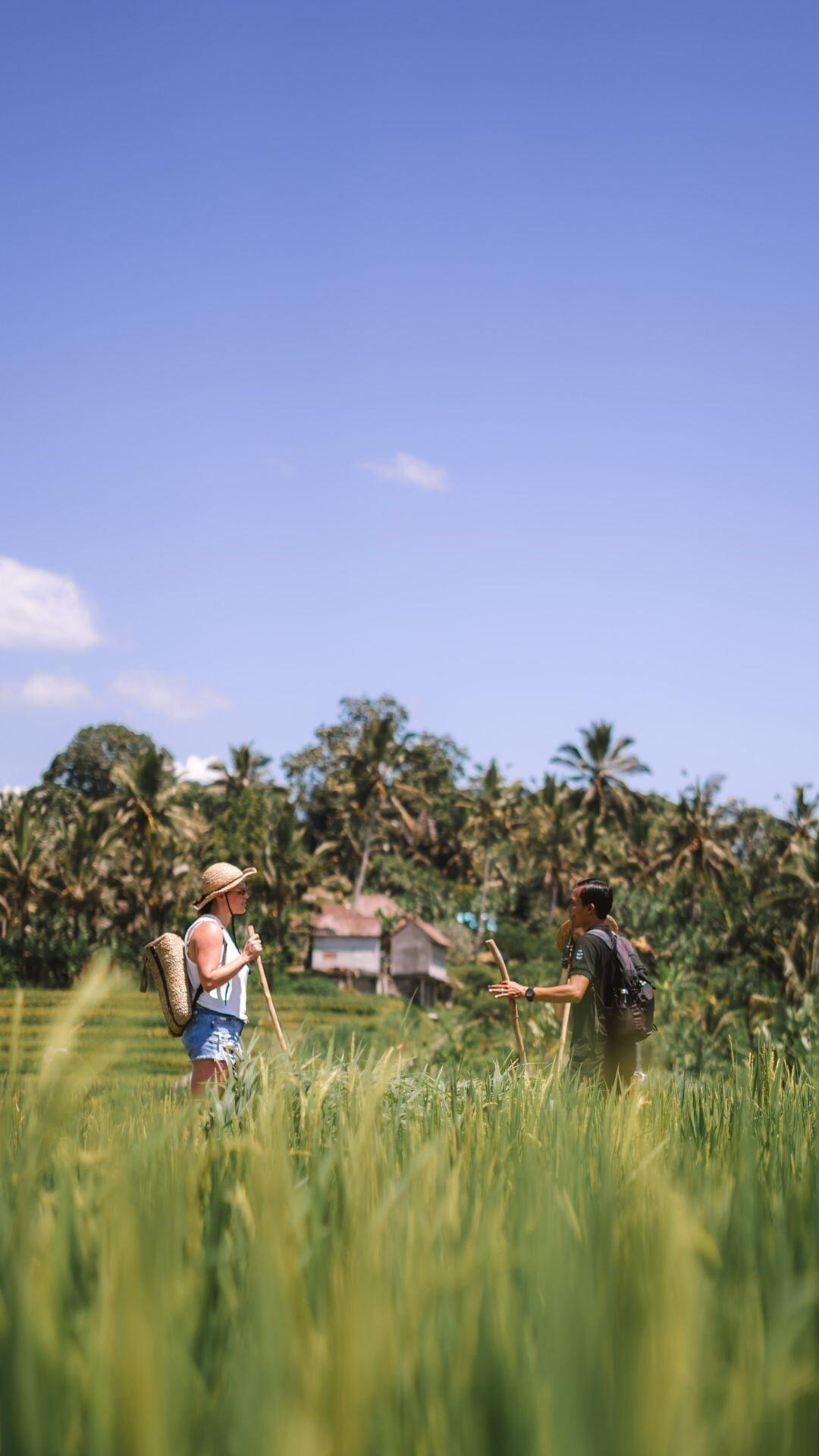 Two people walk in a lush field, surrounded by palm trees at Banyan Tree Escape - Buahan.