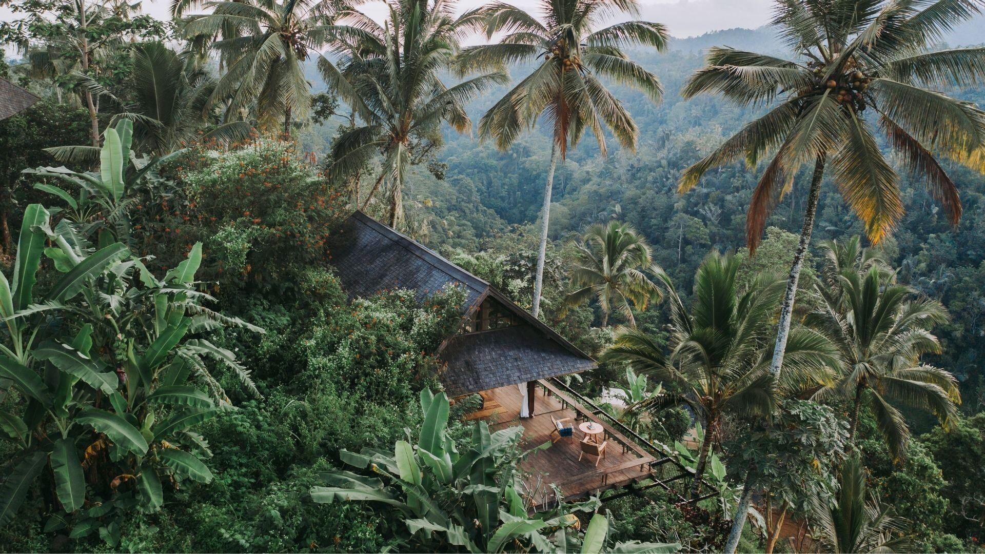 Nestled villa overlooks lush jungle, surrounded by palm trees. Banyan Tree Escape - Buahan.