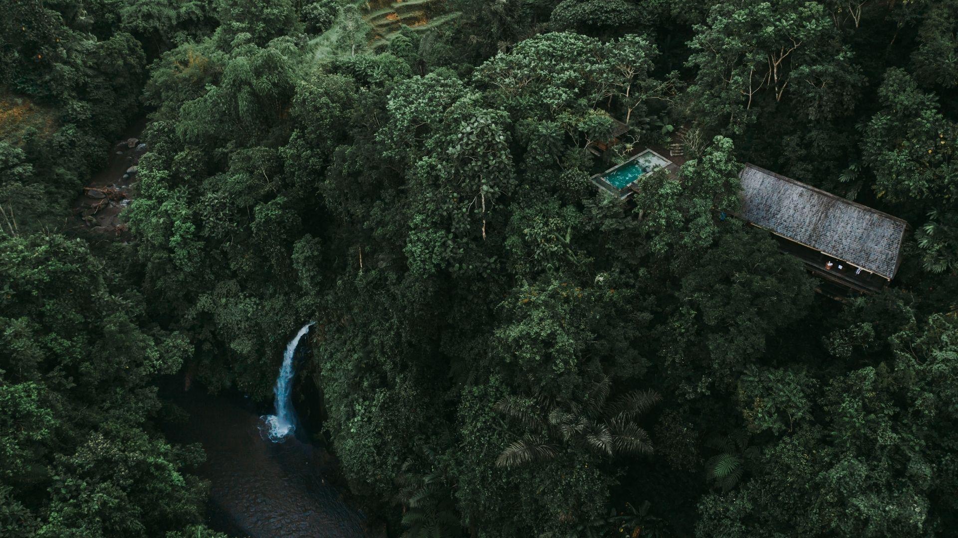 Aerial view of lush forest with waterfall and poolside villa at Banyan Tree Escape - Buahan.