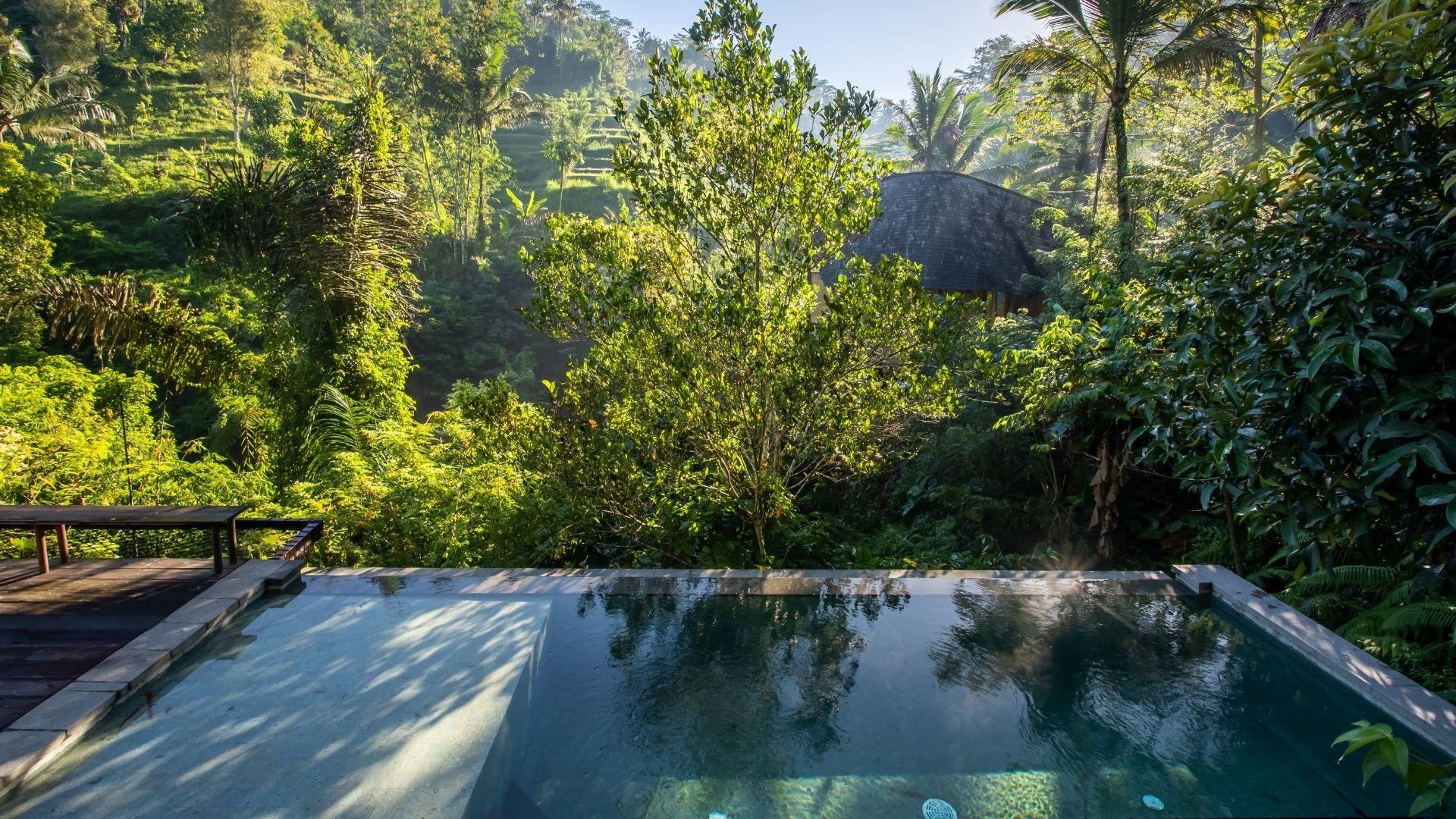 Infinity pool reflects trees amidst jungle at Banyan Tree Escape - Buahan, serene and lush.
