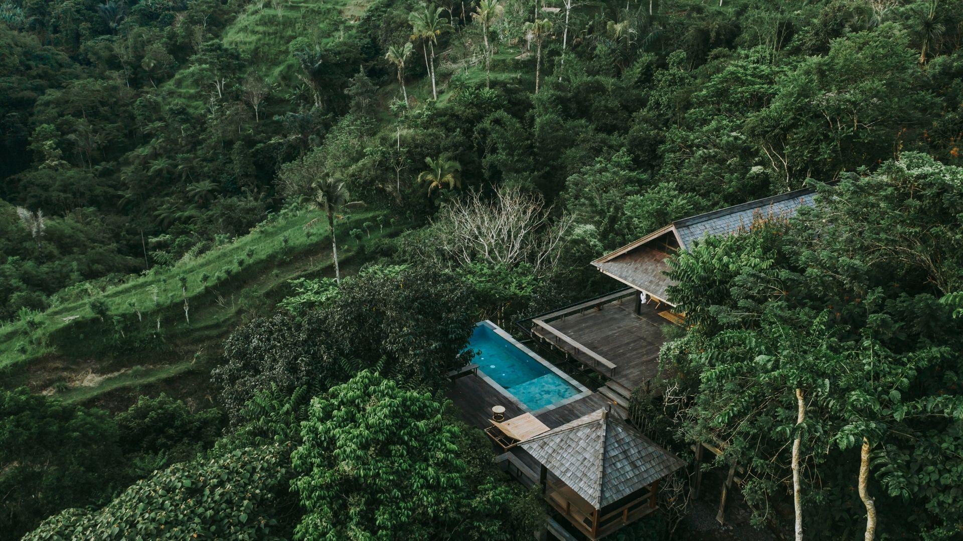 Banyan Tree Escape - Buahan villa nestles with pool amidst lush green forested hillside.