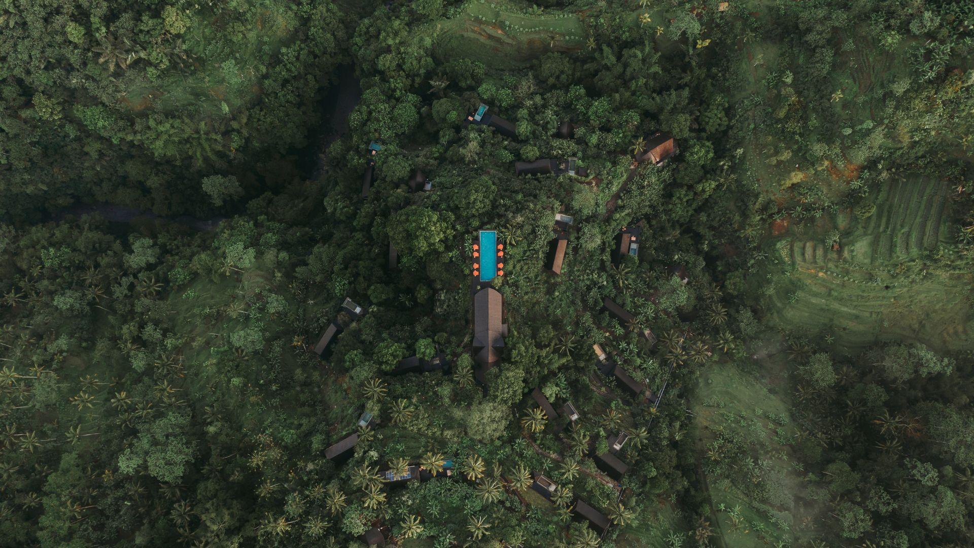 Aerial view of Banyan Tree Escape - Buahan resort nestled in lush forest with central blue pool.