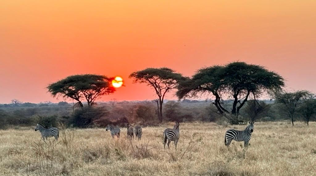 Ubuyu sunset