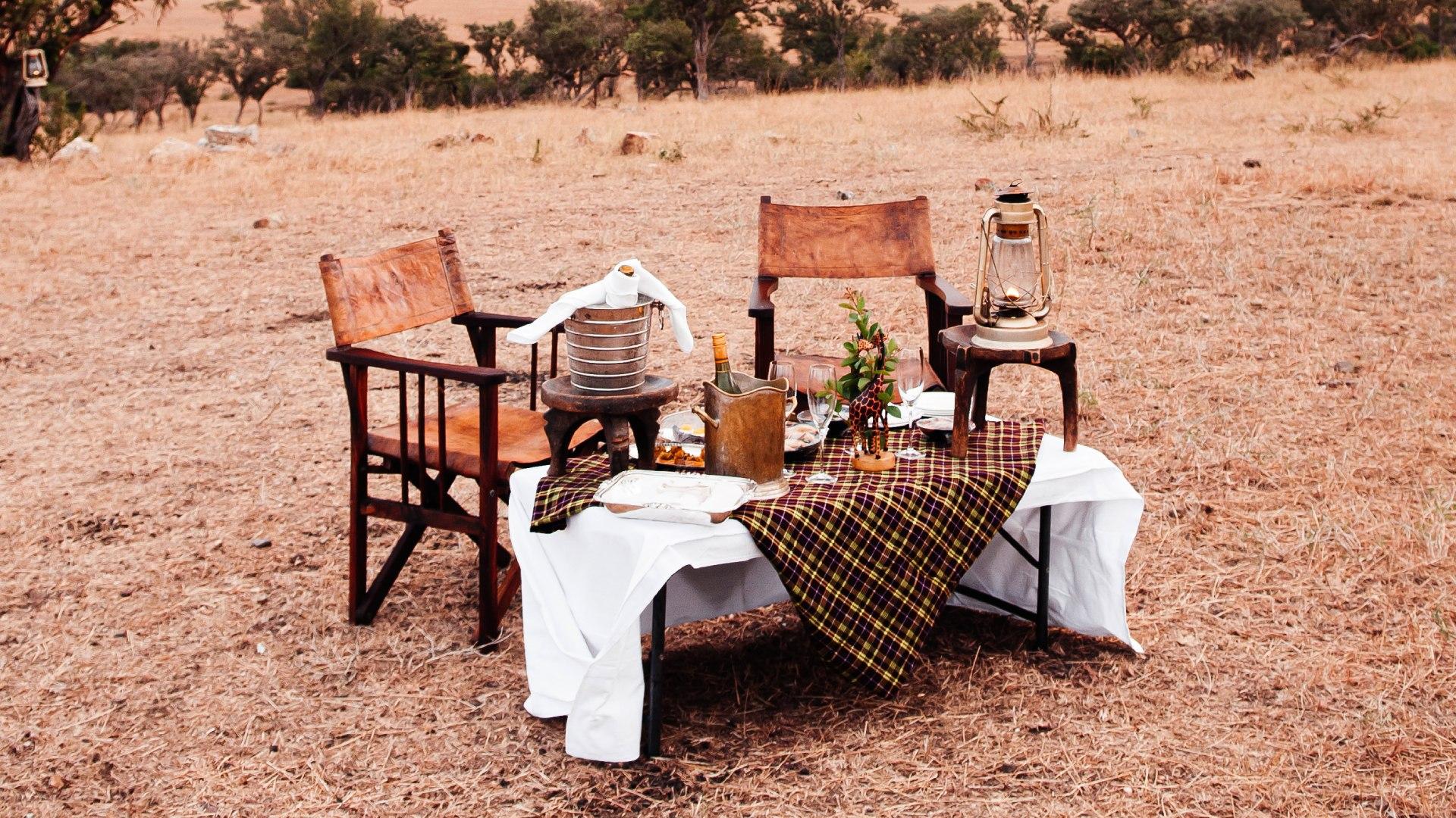 Dine in the wild