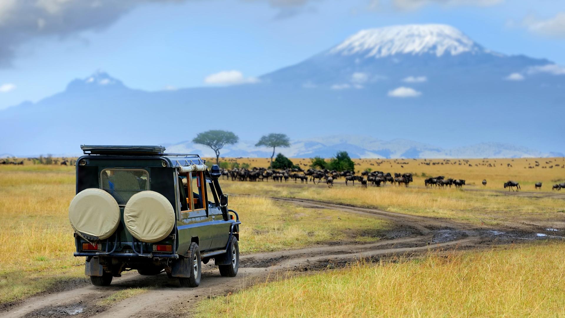 A Jeep Safari in Ubuyu
