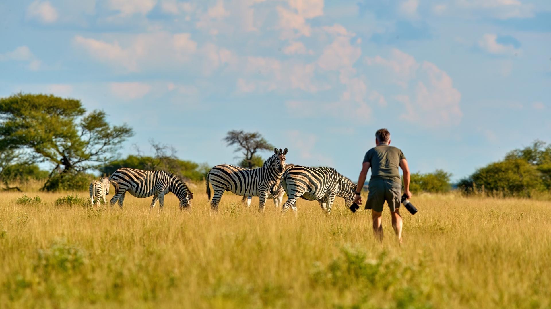 Safari