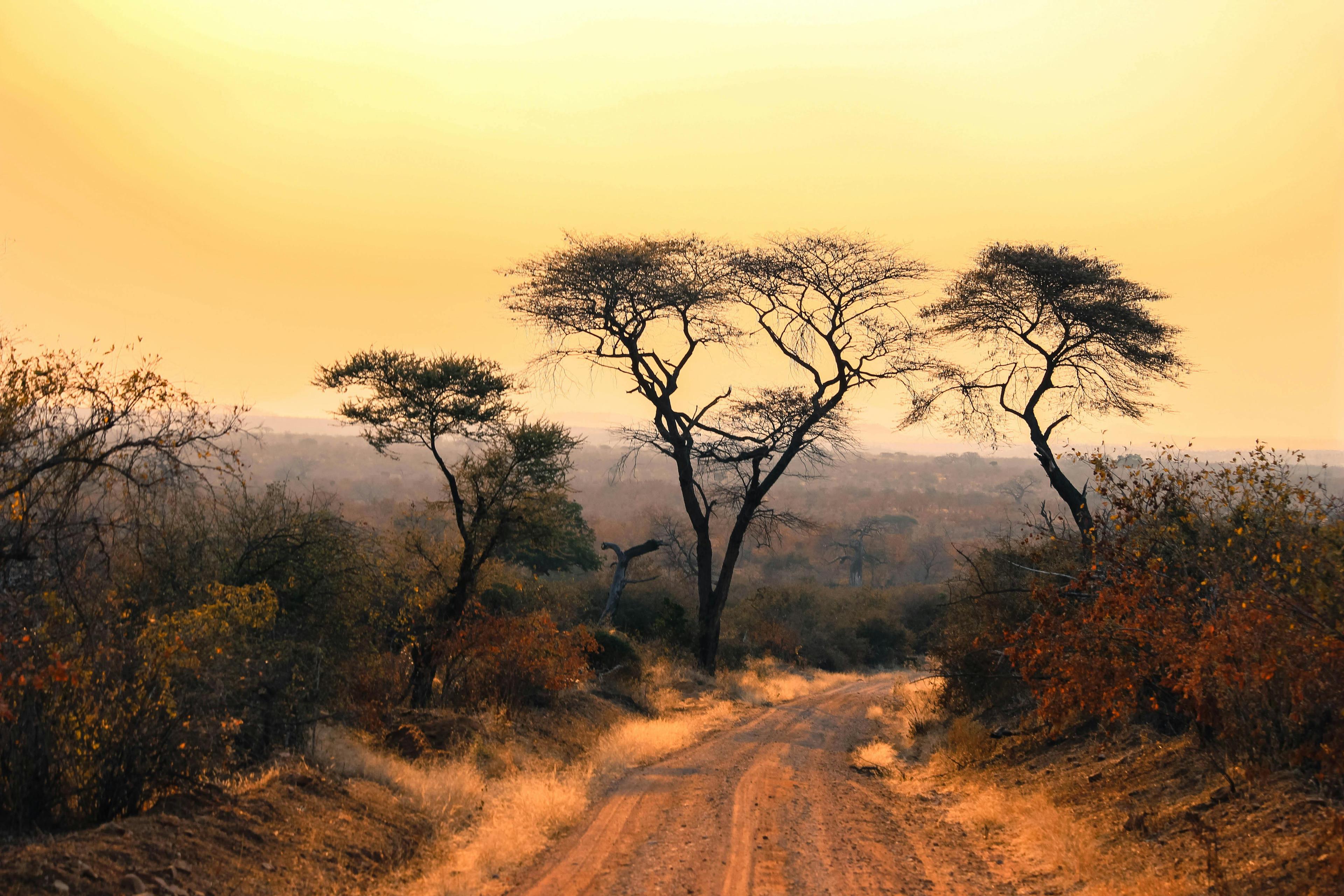 Ubuyu Unfenced views
