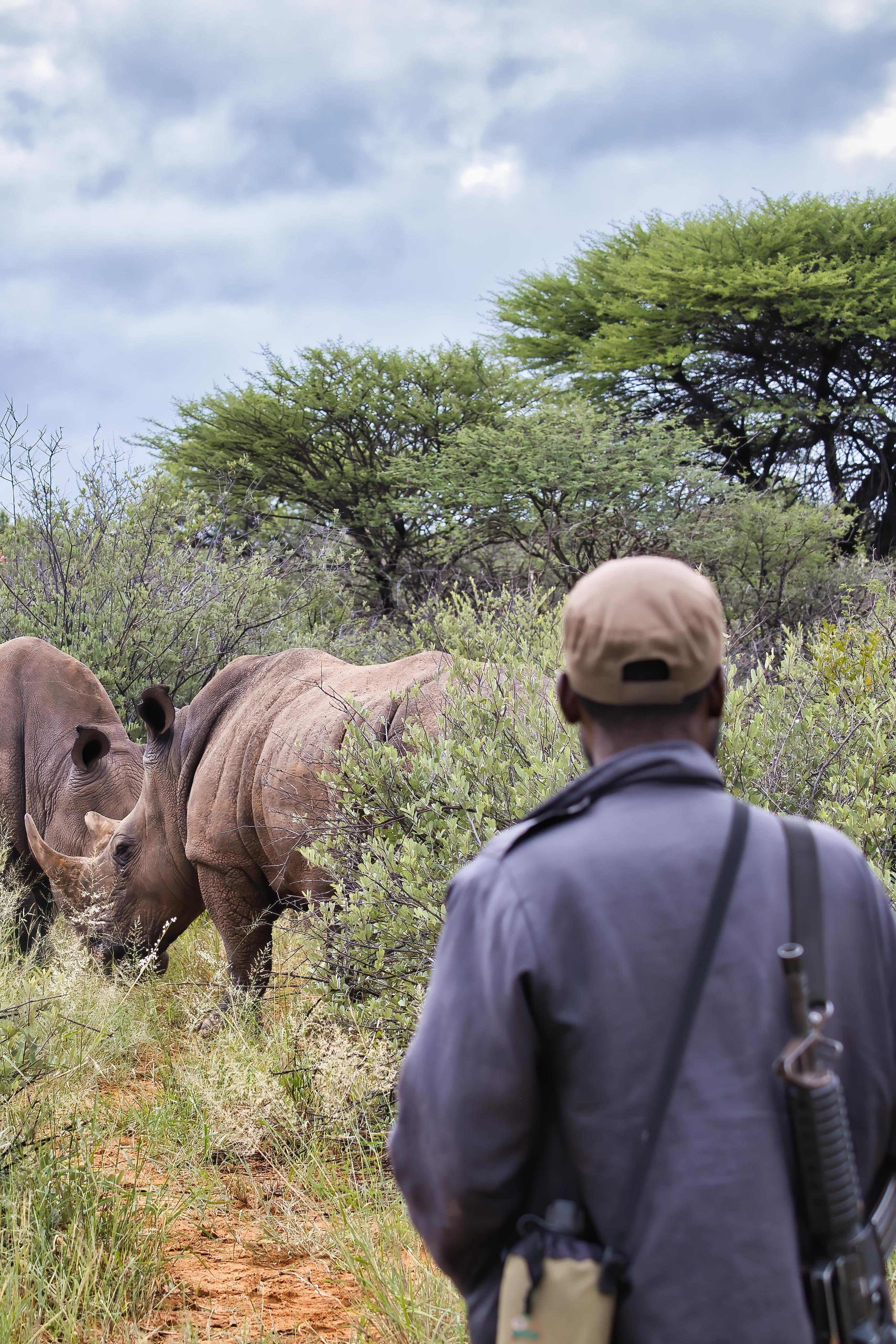Ubuyu rhino