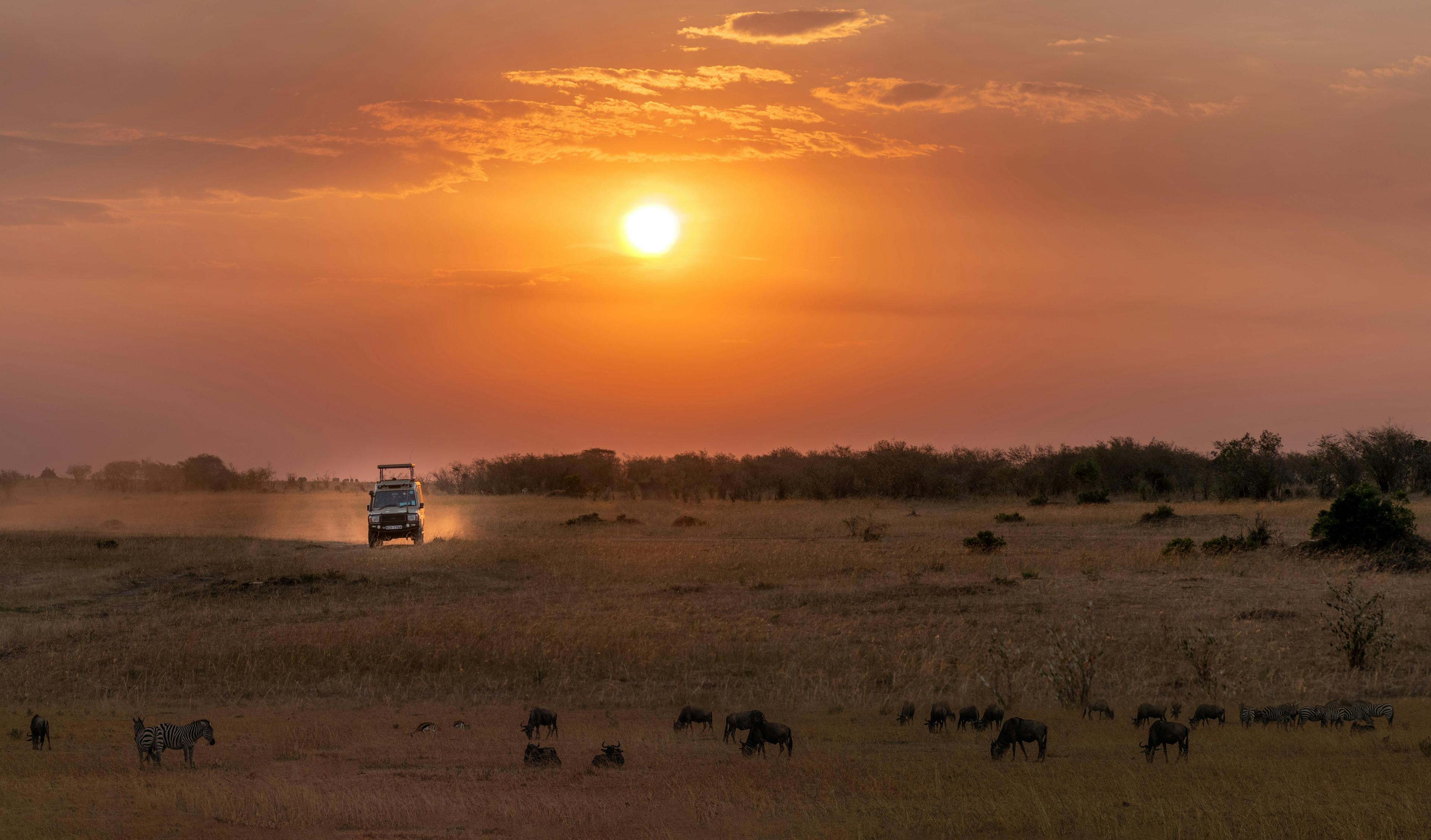 Ubuyu Safari