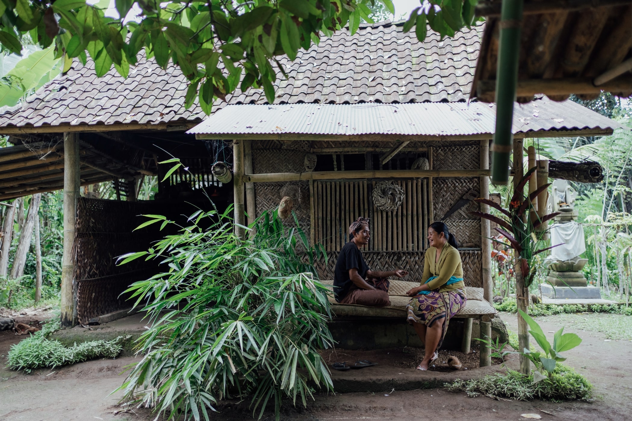 banner of the experience theme